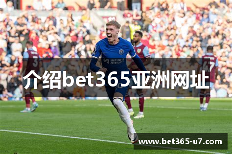 介绍bet365亚洲网址